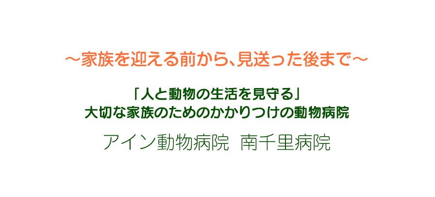 〜家族を迎える前から、見送った後まで〜 人と動物との家族の生活を見守る
    かかりつけ病院 アイン動物病院