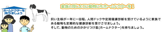 健康を考えた飼い方を